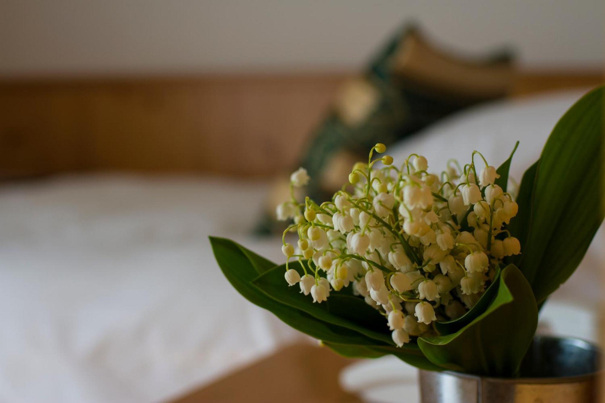 Hotel Chalet All'Imperatore Madonna Kamer foto